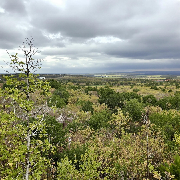 Journée internationale des forêts : La France lance un Observatoire national pour surveiller l'impact du changement climatique