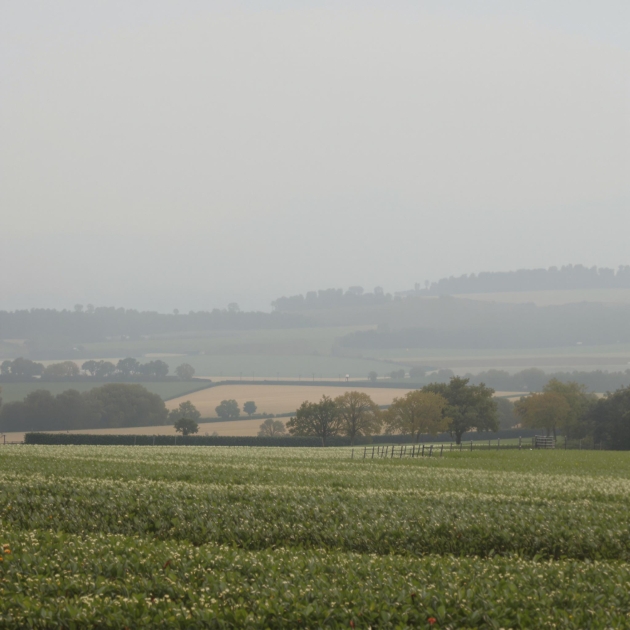 Un épisode de pollution atmosphérique majeur frappe la France ce 13 juin 2025